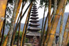 <div align='center' class='highslide-number'>
                                                                                Ulun Danu 
                                                                              </div>                                                         
                                                                                    
                                                                              <div align='left' class='jar'>
                                                                                                                                                               </div>
                                                                                                                                             
                                                                              <div align='right' class='jar'>
                                                                                <i>Bedegul, Bali, Indonesia</i> 
                                                                              </div>                 
                                                                              