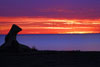 <div align='center' class='highslide-number'>
                                                                                Sculpture Sunset 
                                                                              </div>
                                                                              
                                                                              <div align='left' class='jar'>
                                                                                                                                                               </div>
                                                                              
                                                                              <div align='right' class='jar'>
                                                                                <i>Dunsborough, Australia</i> 
                                                                              </div>                 
                                                                              