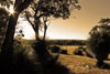 <div align='center' class='highslide-number'>
                                                                                Paisaje Arido 
                                                                              </div>                                                         
                                                                              
                                                                              <div align='left' class='jar'>
                                                                                                                                                               </div>                                                                     
                                                                              <div align='right' class='jar'>
                                                                                <i>Dunsborough, Australia</i> 
                                                                              </div>                 
                                                                              