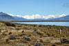 <div align='center' class='highslide-number'>
                                                                                Calafate 
                                                                              </div>
                                                                              
                                                                              <div align='left' class='jar'>
                                                                                                                                                               </div>
                                                                              
                                                                              <div align='right' class='jar'>
                                                                                <i>Calafate, Argentina</i> 
                                                                              </div>                 
                                                                              